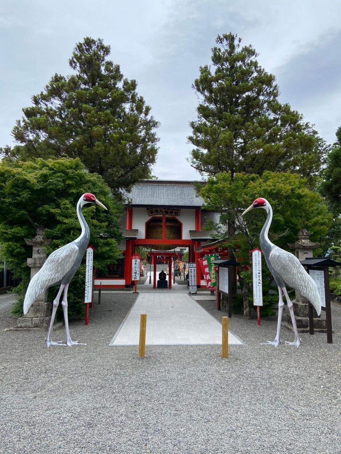 カモンイン 寿 Izumi Kültér fotó