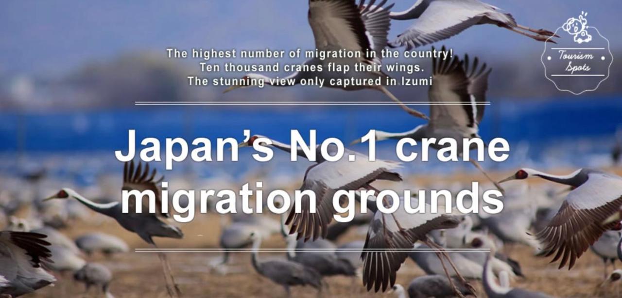カモンイン 寿 Izumi Kültér fotó